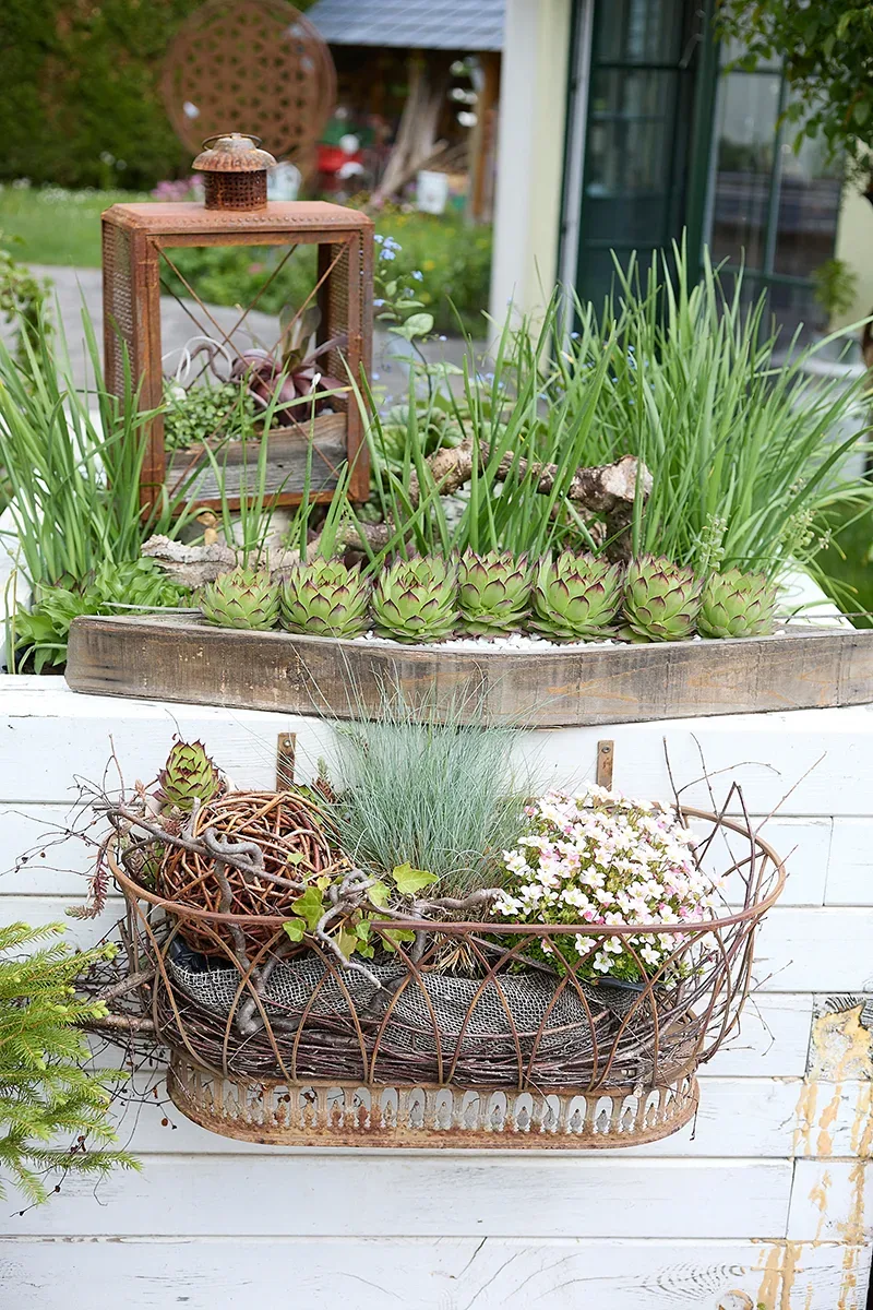 Bepflanztes Metallregal mit Dekoelementen auf weißer Mauer im Garten.